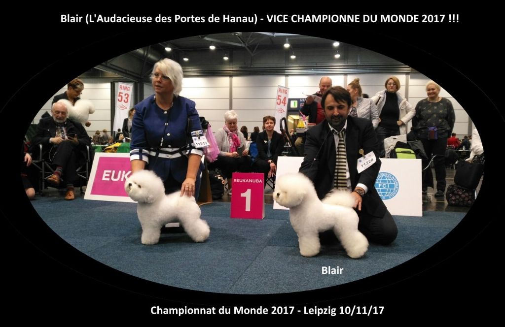 des portes de Hanau - Blair - Vice-Championne du Monde 2017 !!!